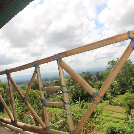 Bali Tree House Pelangi Apartment Bedugul  Exterior photo