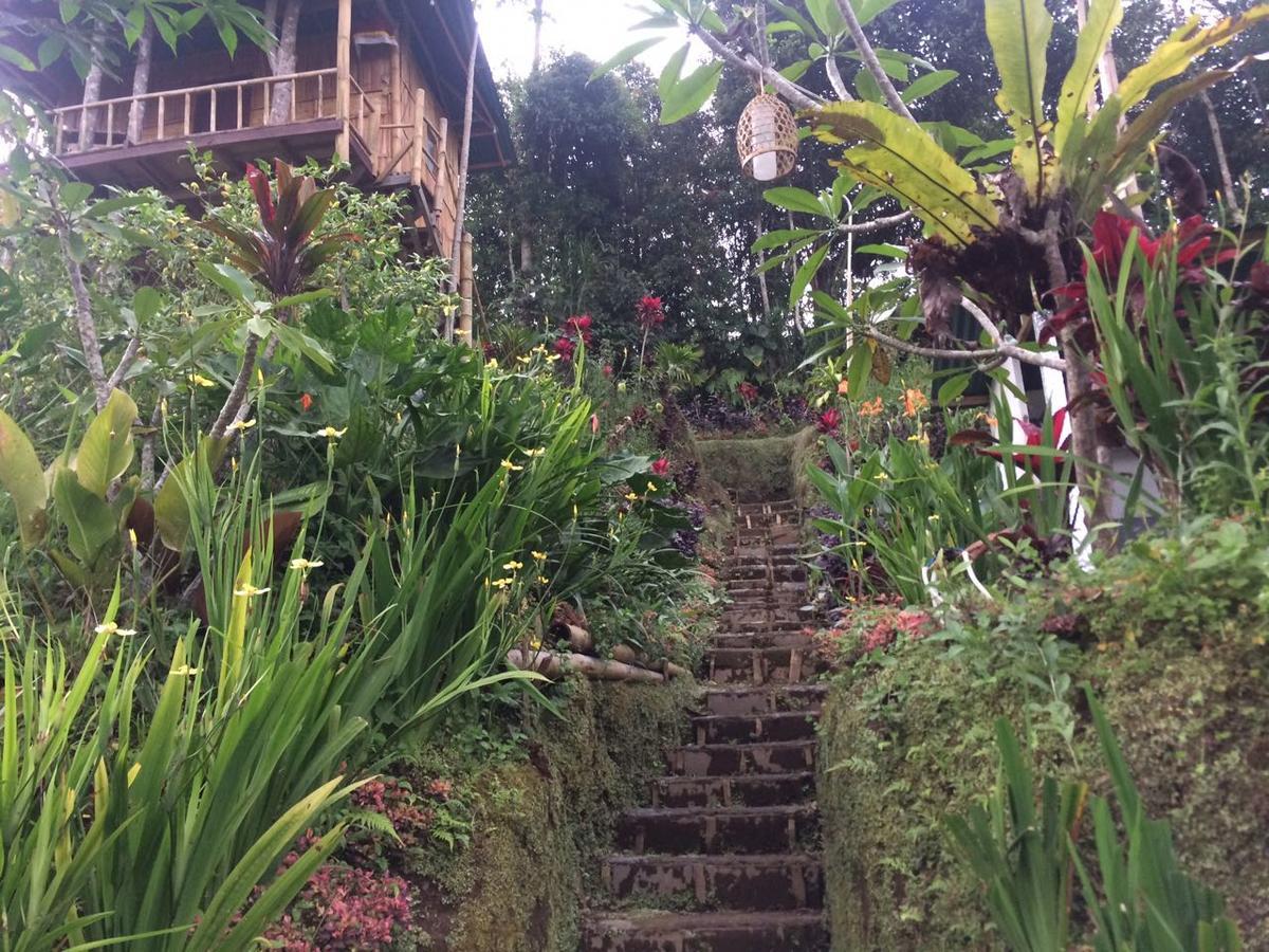 Bali Tree House Pelangi Apartment Bedugul  Exterior photo