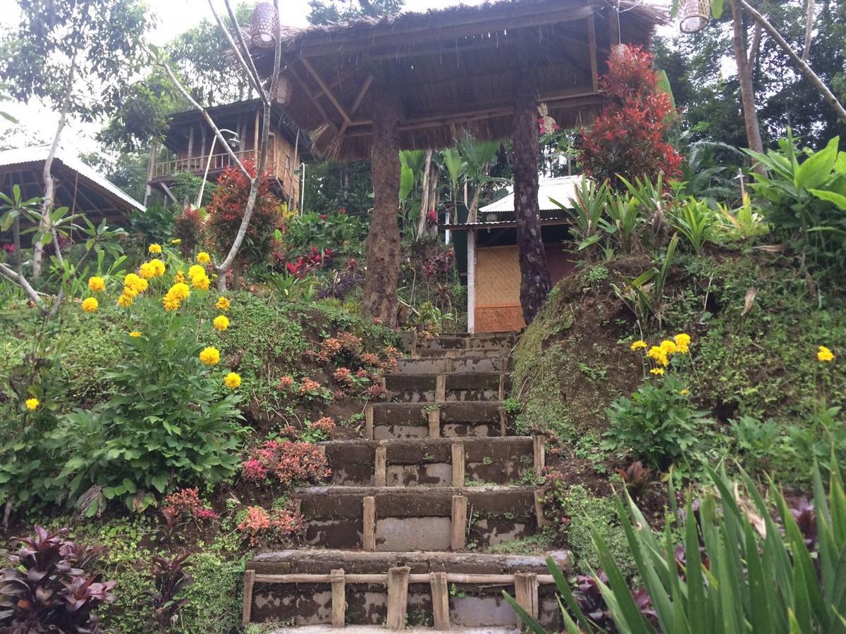 Bali Tree House Pelangi Apartment Bedugul  Exterior photo