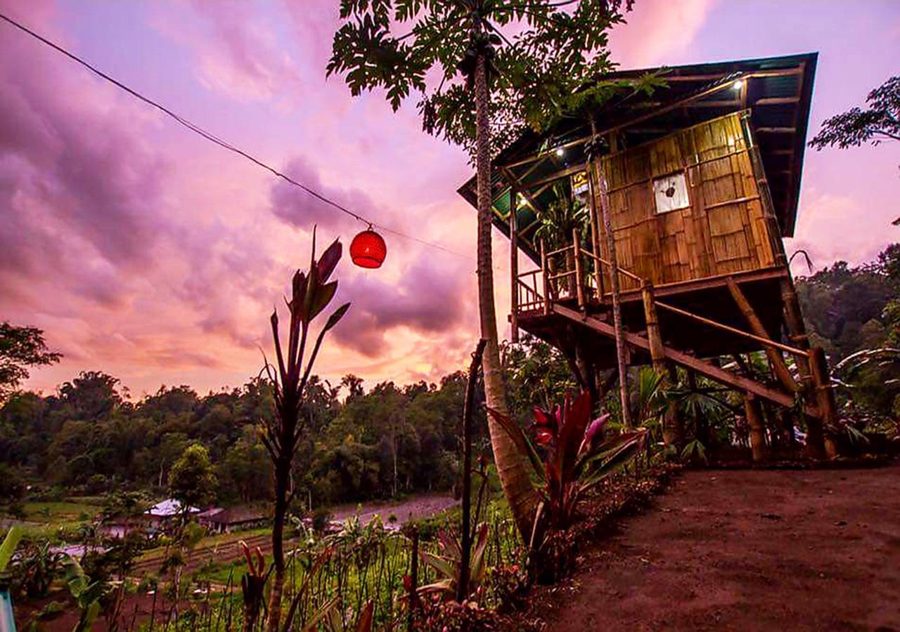 Bali Tree House Pelangi Apartment Bedugul  Exterior photo