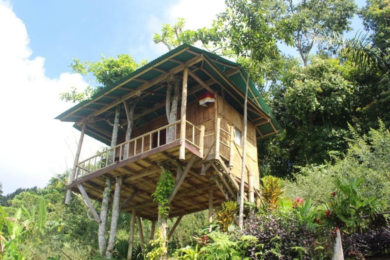 Bali Tree House Pelangi Apartment Bedugul  Exterior photo