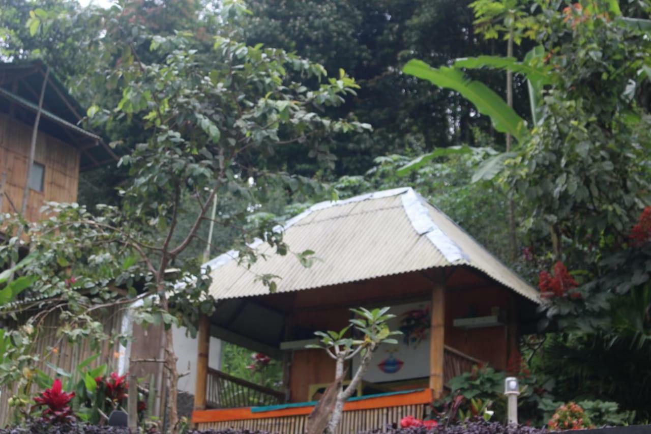 Bali Tree House Pelangi Apartment Bedugul  Exterior photo