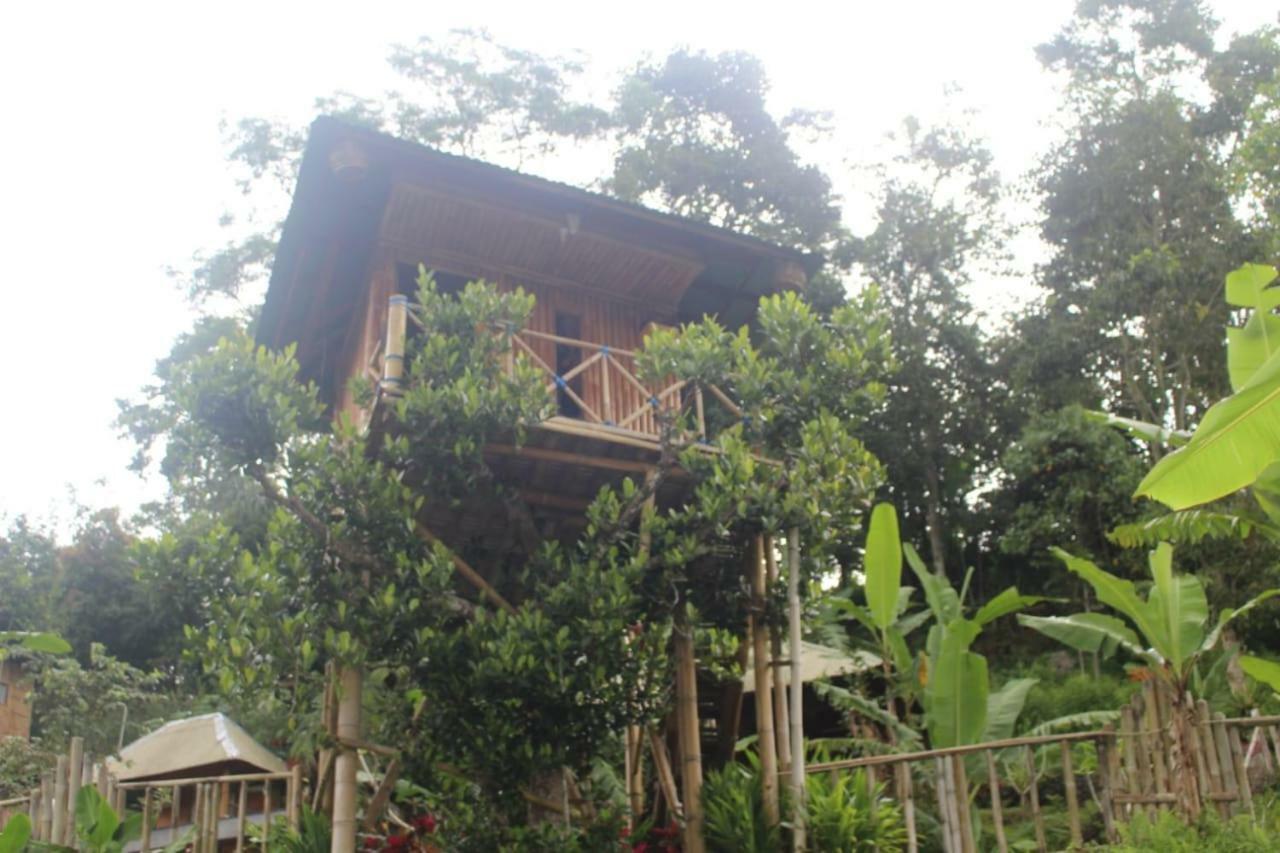 Bali Tree House Pelangi Apartment Bedugul  Exterior photo