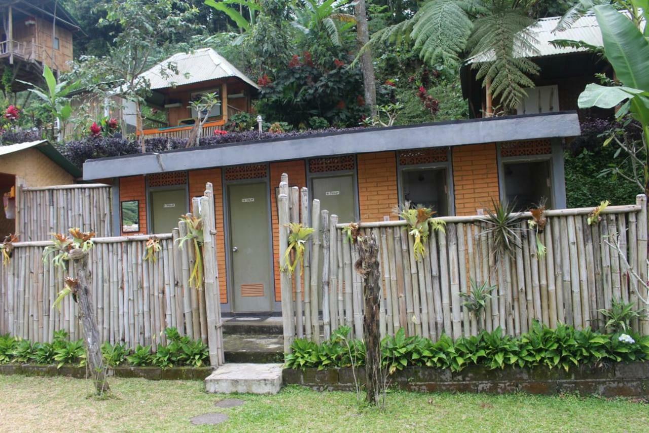 Bali Tree House Pelangi Apartment Bedugul  Exterior photo