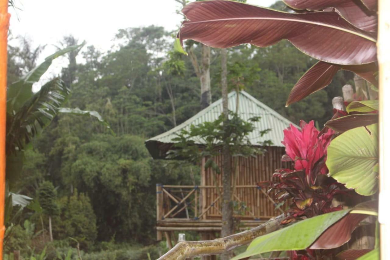 Bali Tree House Pelangi Apartment Bedugul  Exterior photo