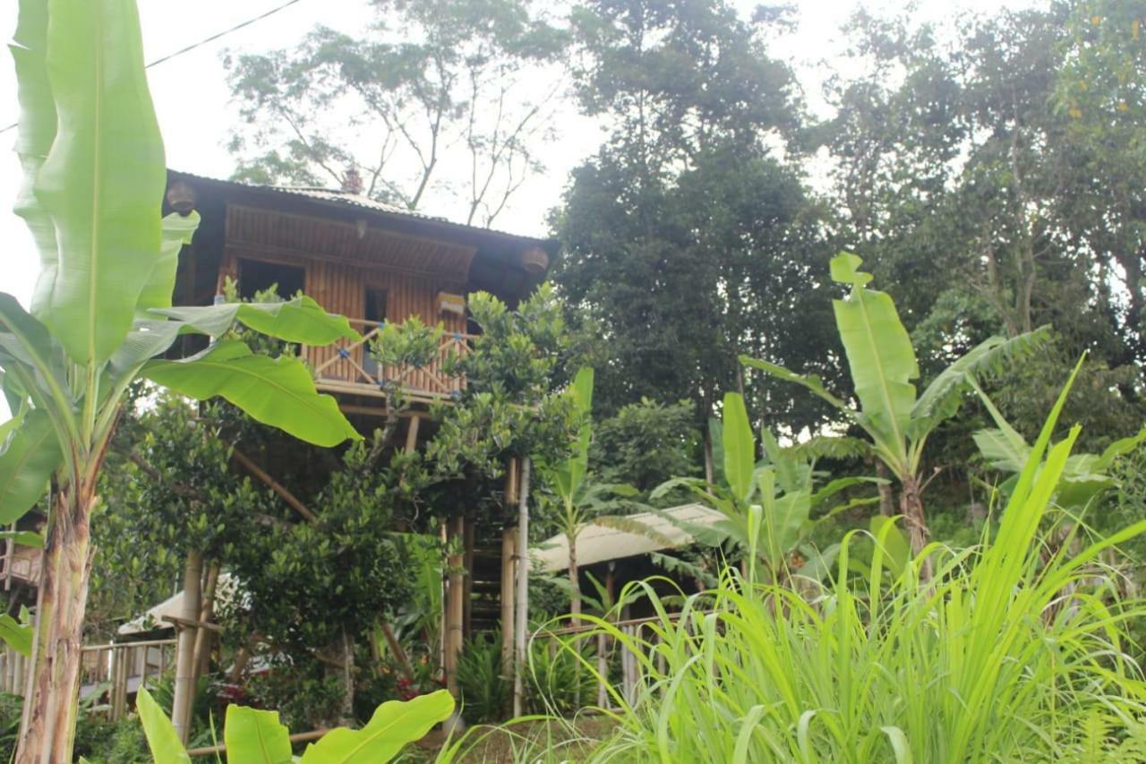 Bali Tree House Pelangi Apartment Bedugul  Exterior photo