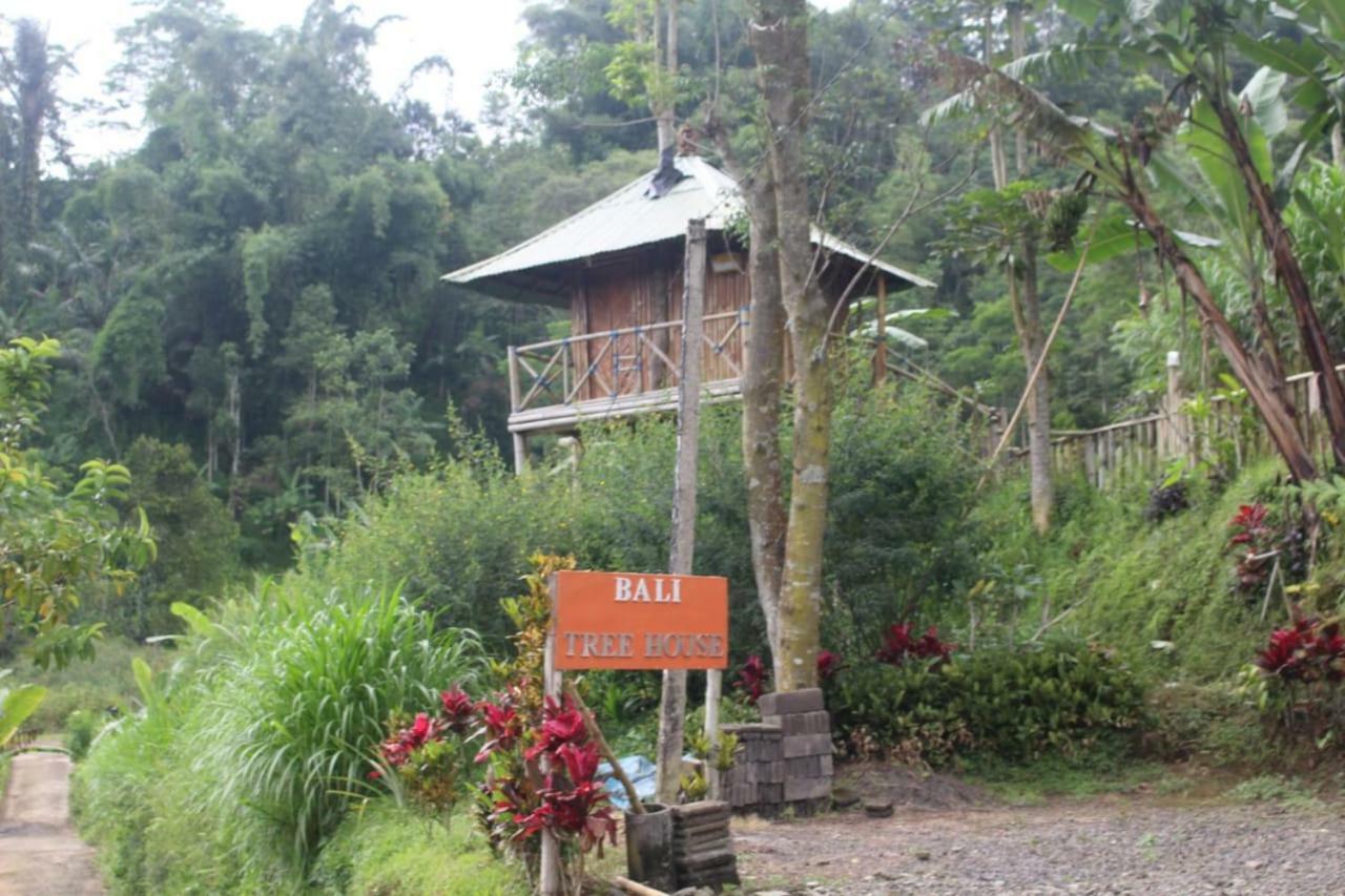 Bali Tree House Pelangi Apartment Bedugul  Exterior photo