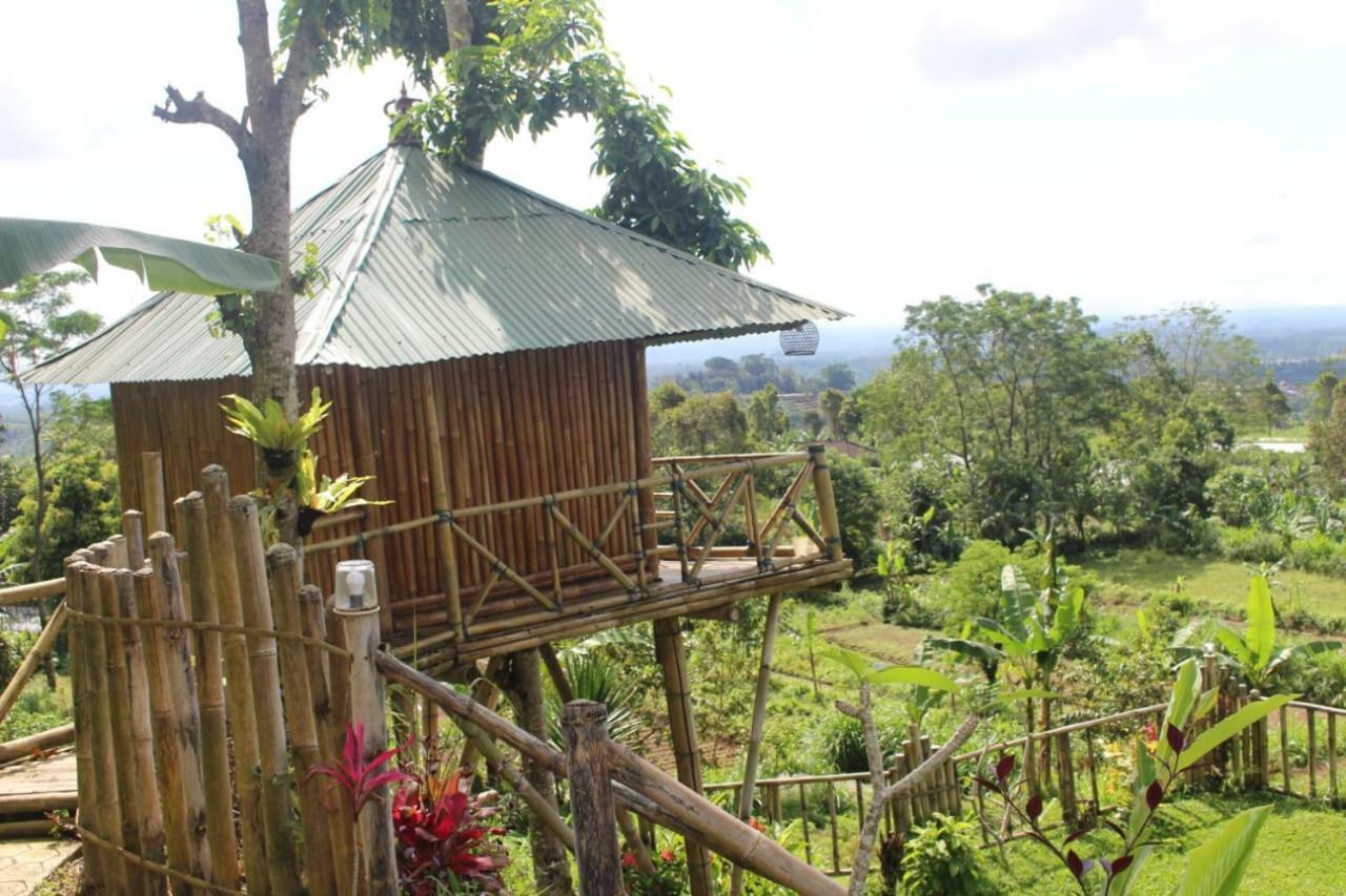 Bali Tree House Pelangi Apartment Bedugul  Exterior photo