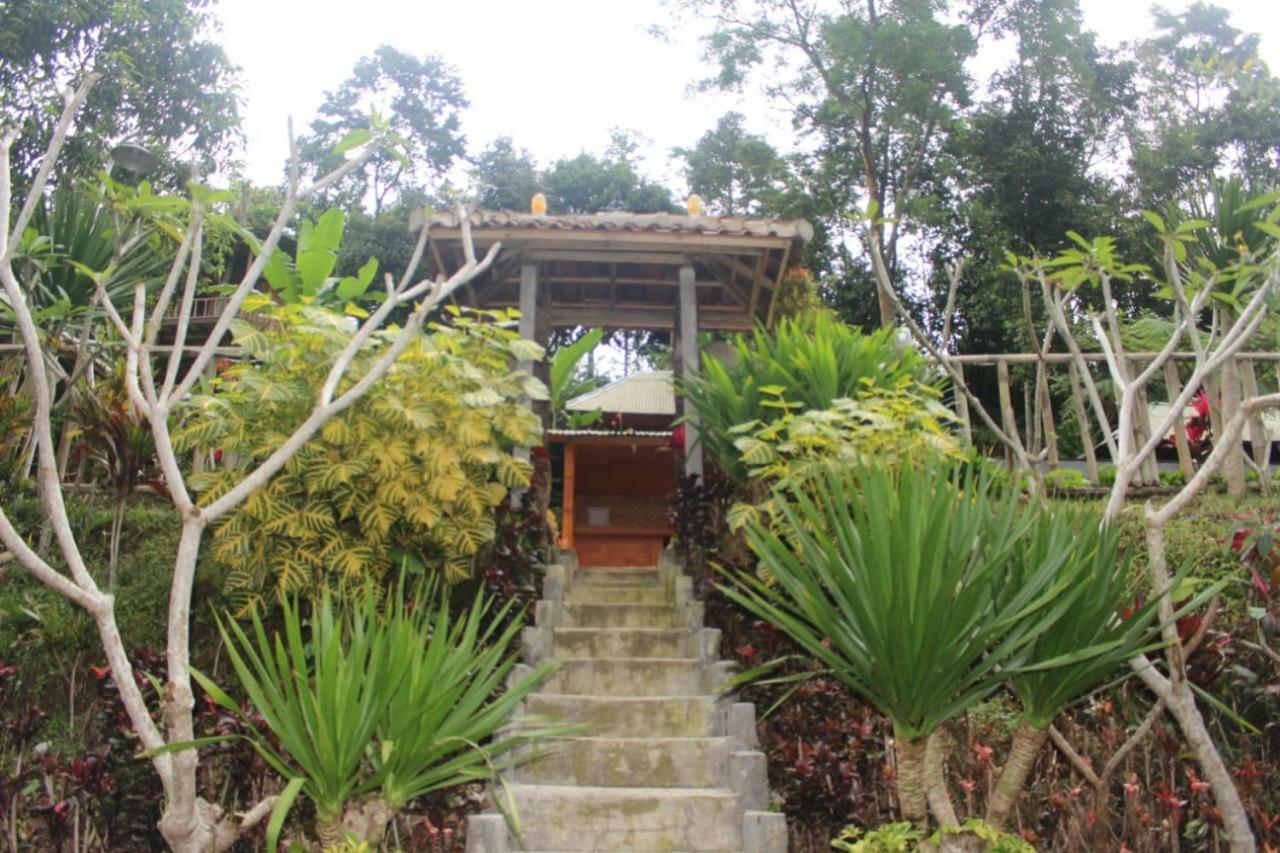 Bali Tree House Pelangi Apartment Bedugul  Exterior photo