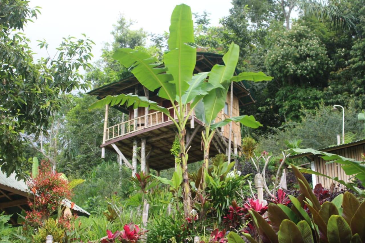 Bali Tree House Pelangi Apartment Bedugul  Exterior photo