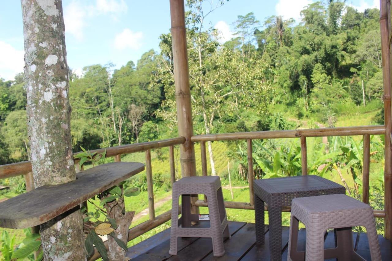 Bali Tree House Pelangi Apartment Bedugul  Exterior photo
