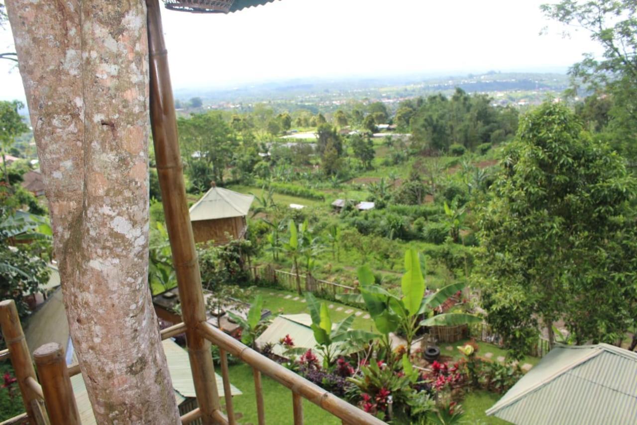 Bali Tree House Pelangi Apartment Bedugul  Exterior photo