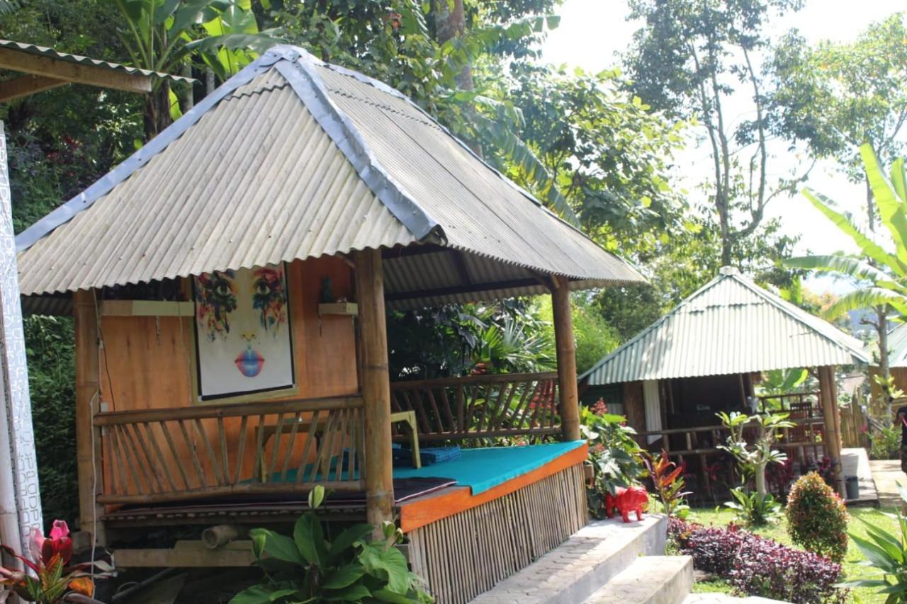 Bali Tree House Pelangi Apartment Bedugul  Exterior photo
