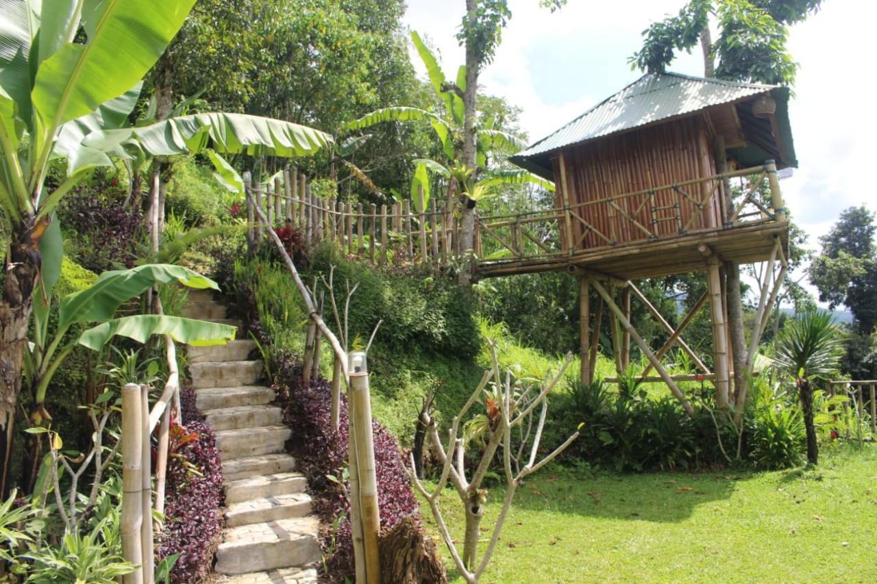Bali Tree House Pelangi Apartment Bedugul  Exterior photo