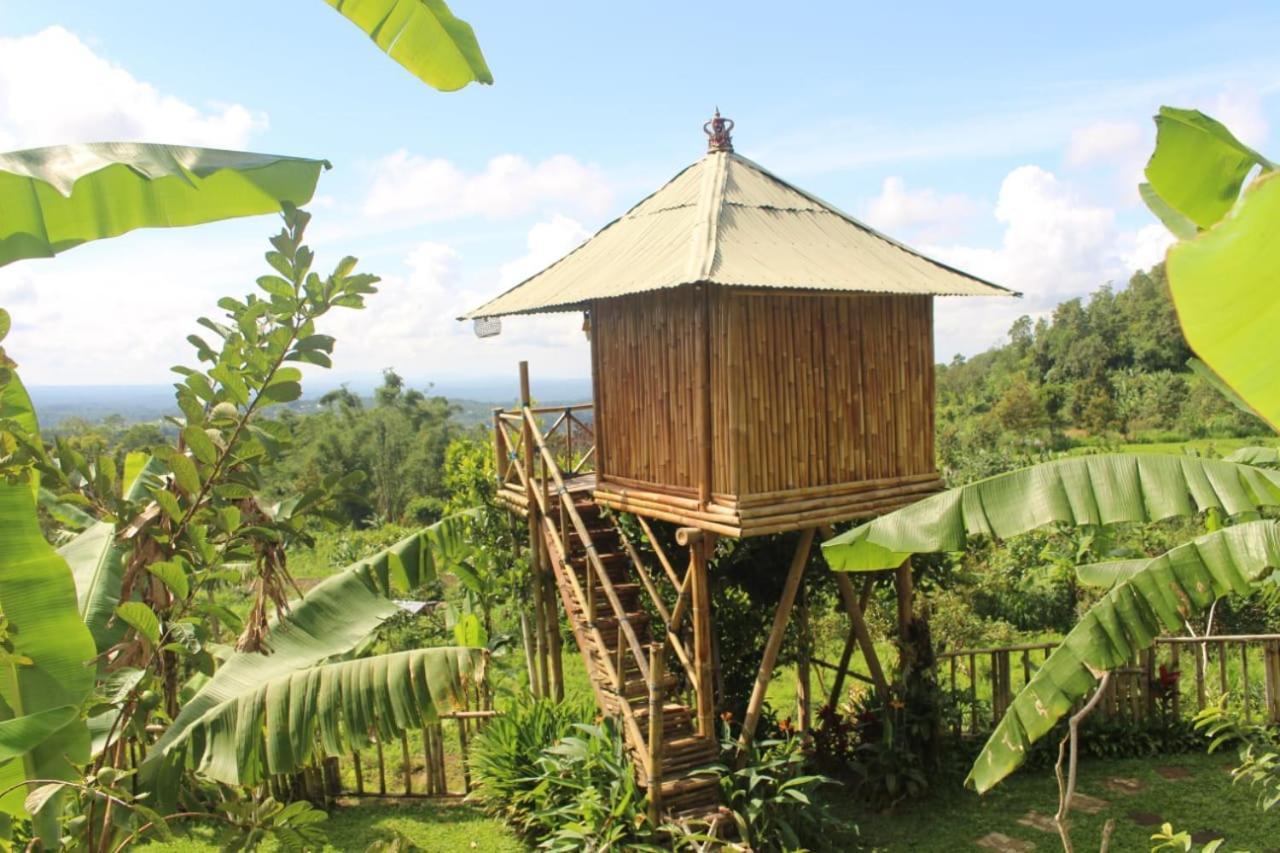 Bali Tree House Pelangi Apartment Bedugul  Exterior photo