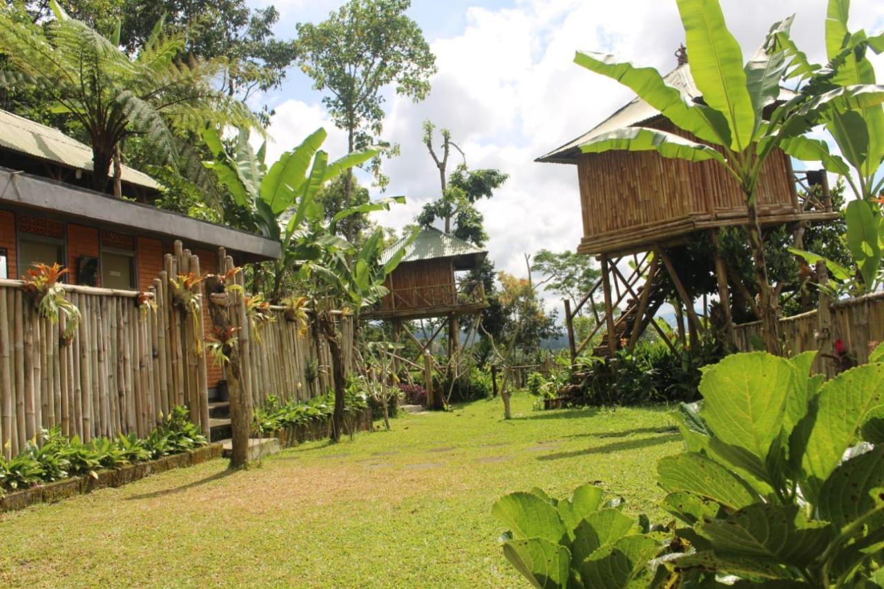 Bali Tree House Pelangi Apartment Bedugul  Exterior photo