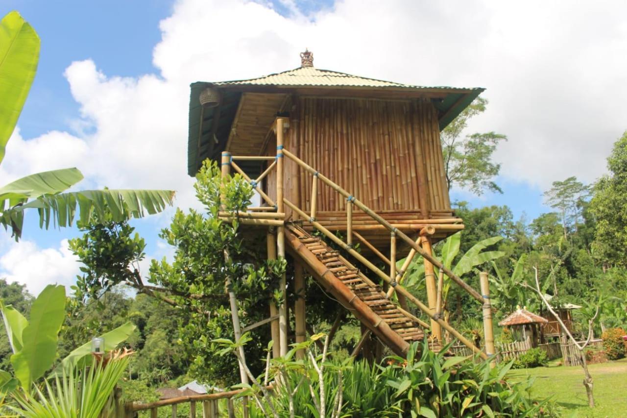 Bali Tree House Pelangi Apartment Bedugul  Exterior photo