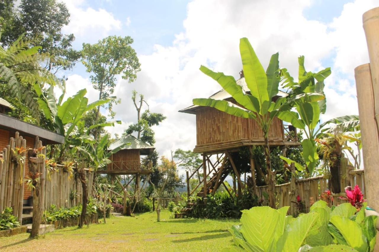 Bali Tree House Pelangi Apartment Bedugul  Exterior photo