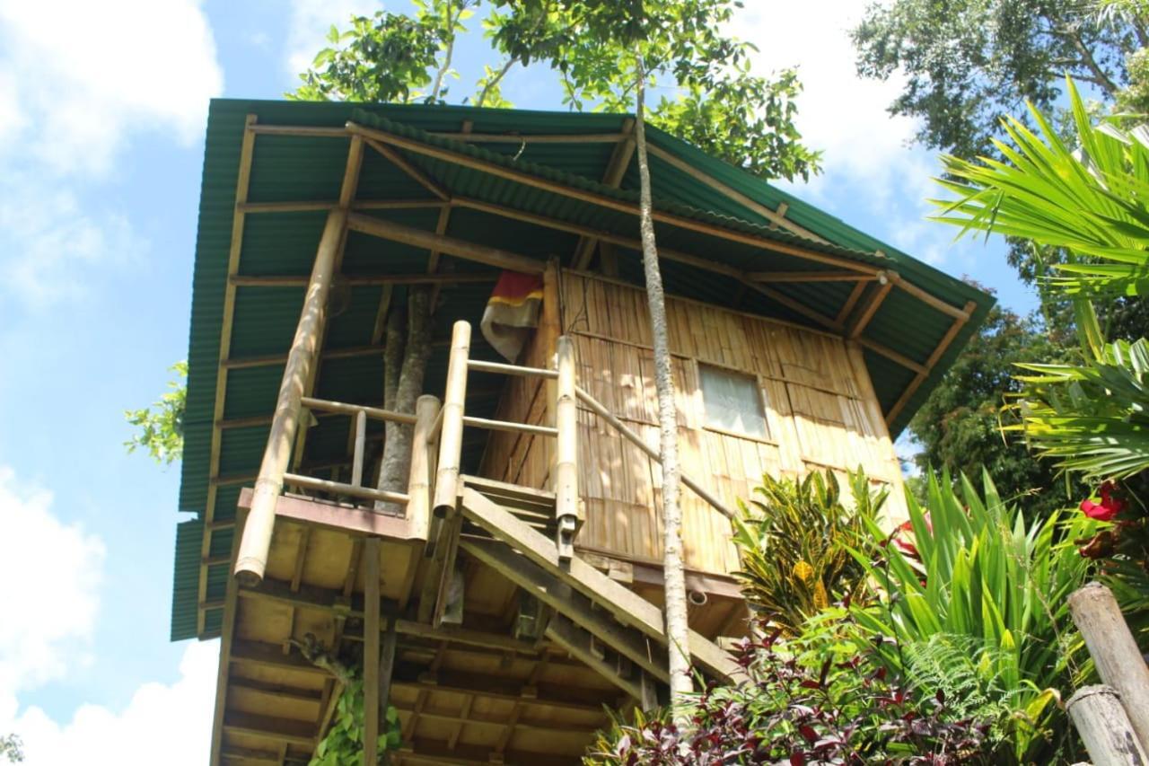Bali Tree House Pelangi Apartment Bedugul  Exterior photo