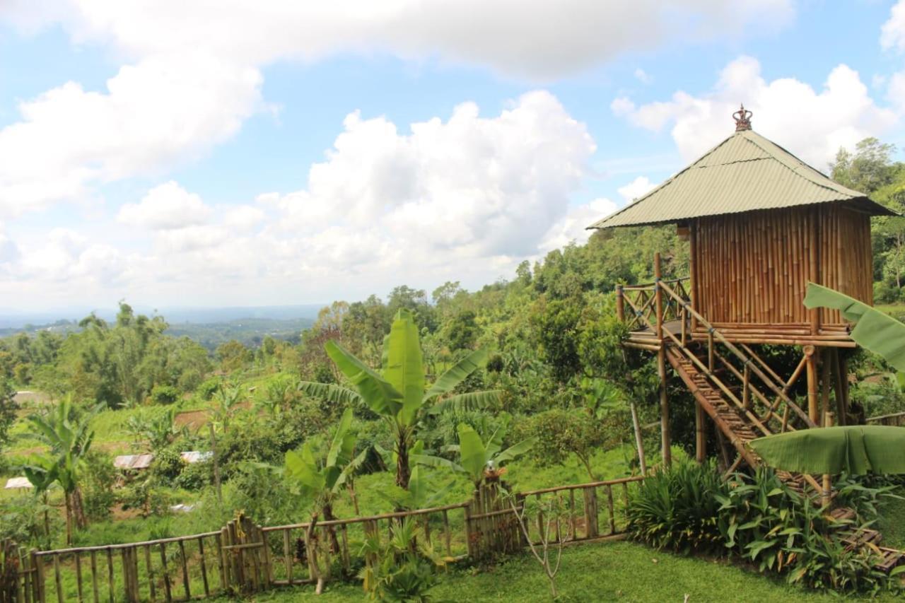 Bali Tree House Pelangi Apartment Bedugul  Exterior photo