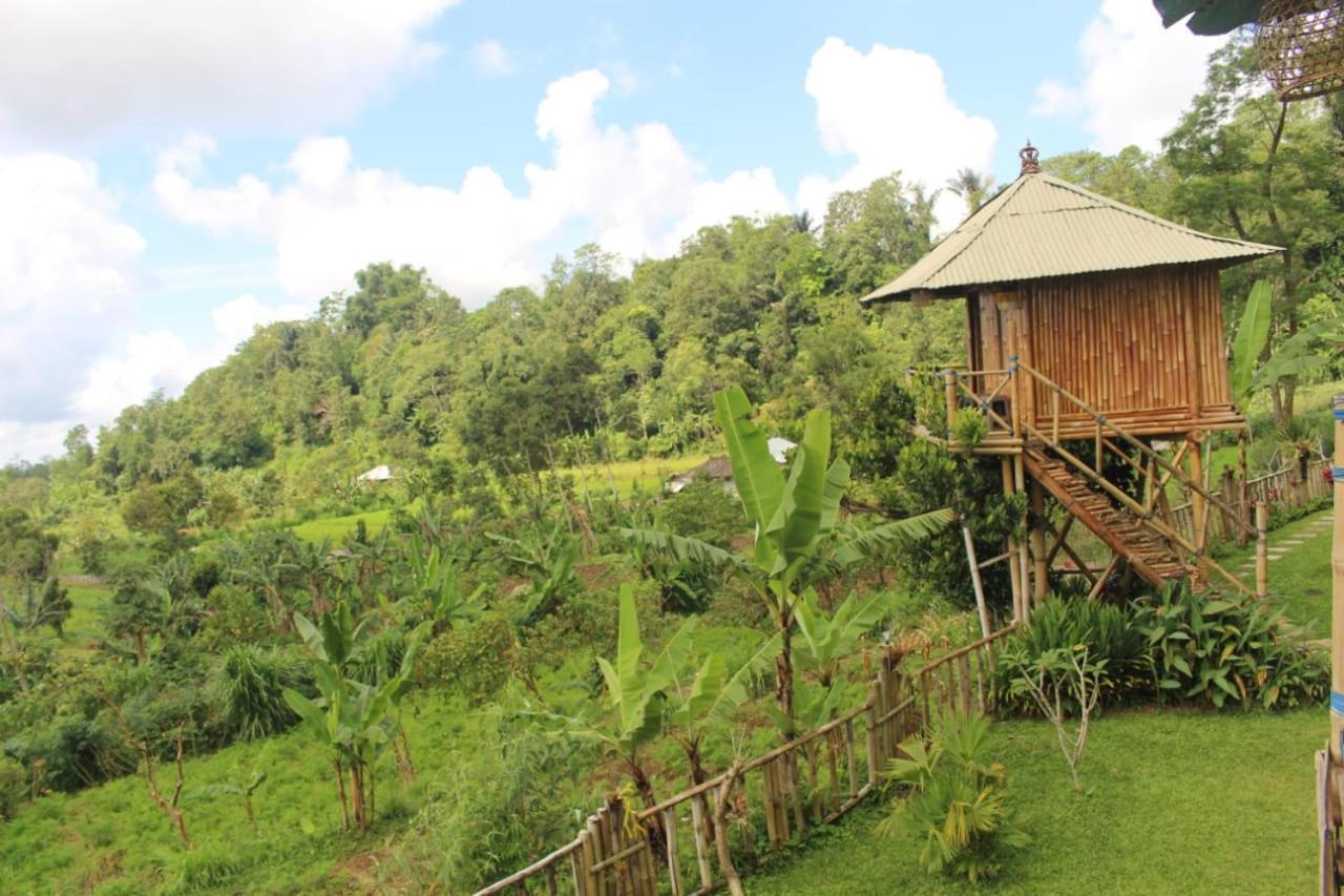 Bali Tree House Pelangi Apartment Bedugul  Exterior photo