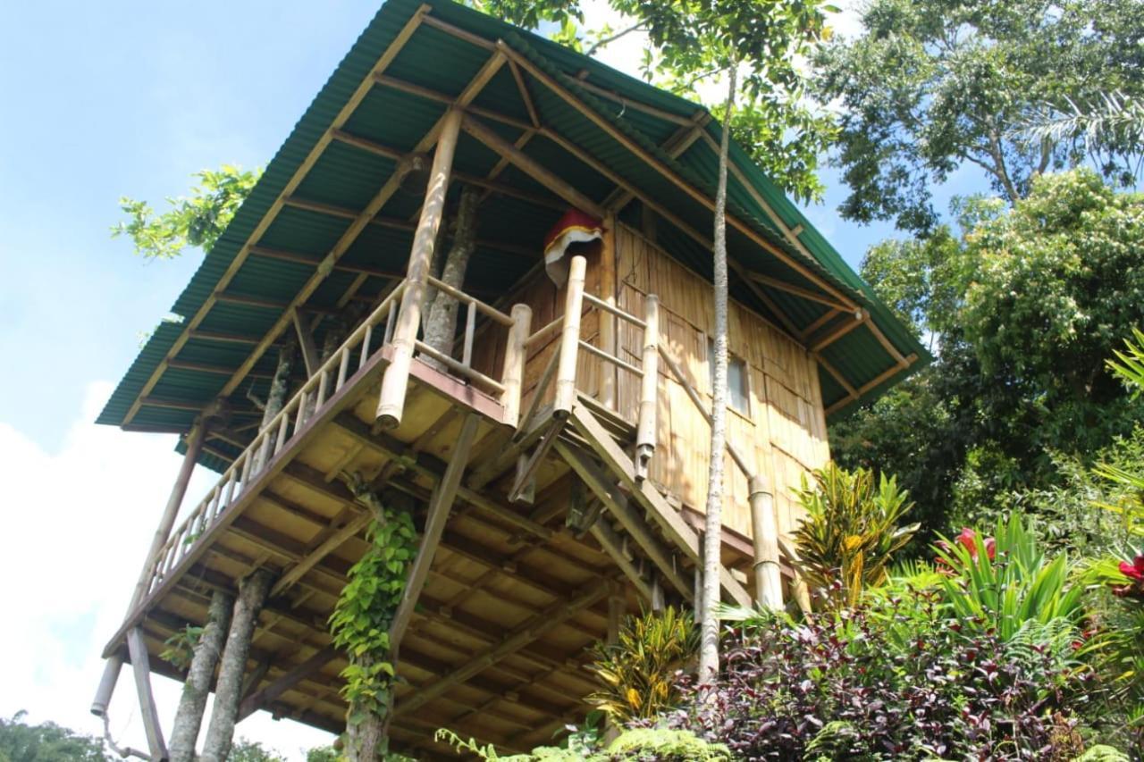 Bali Tree House Pelangi Apartment Bedugul  Exterior photo