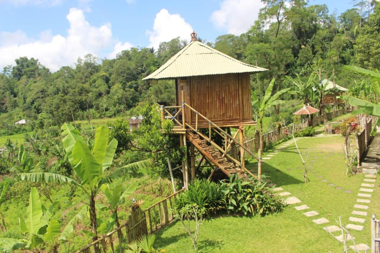 Bali Tree House Pelangi Apartment Bedugul  Exterior photo