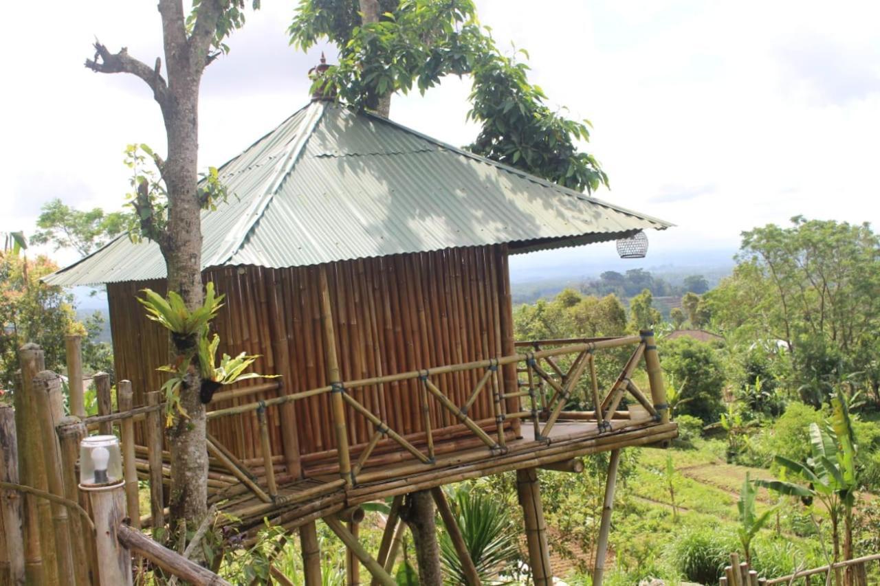 Bali Tree House Pelangi Apartment Bedugul  Exterior photo