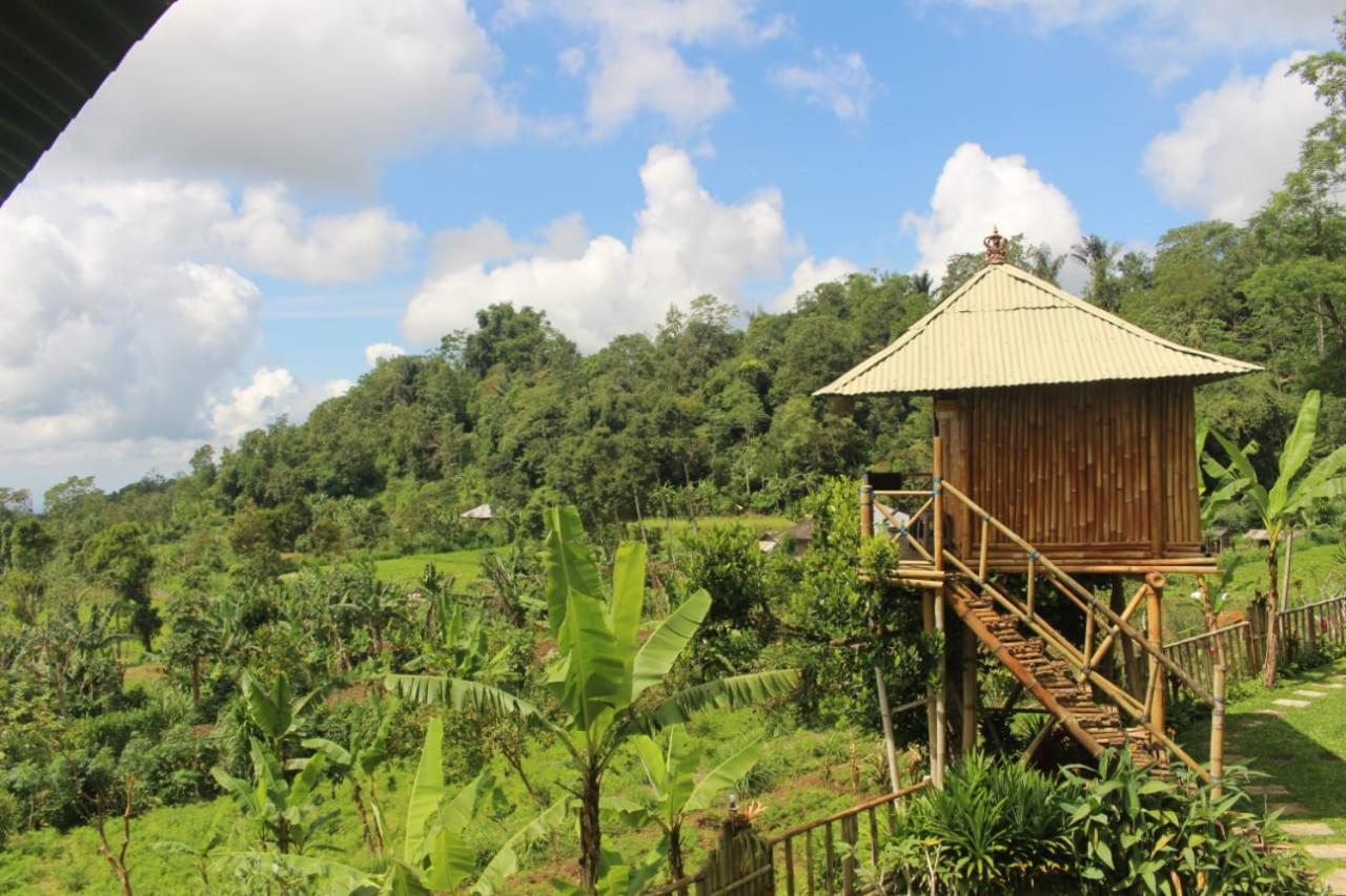 Bali Tree House Pelangi Apartment Bedugul  Exterior photo