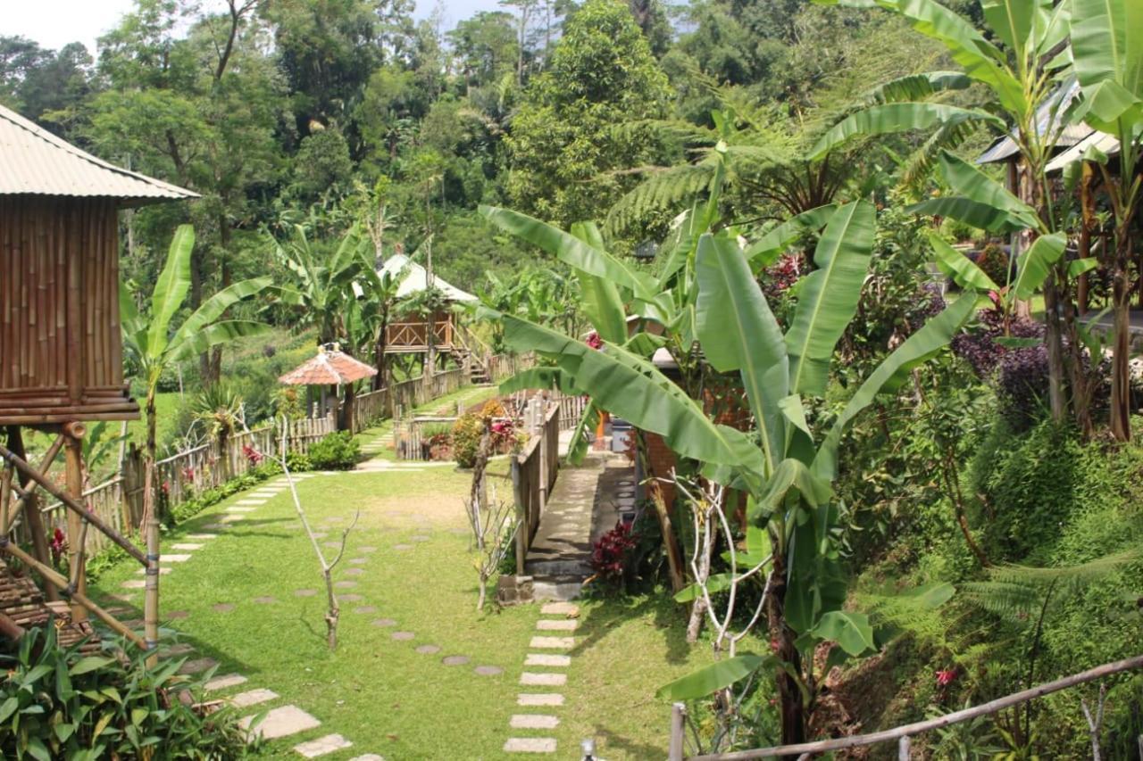 Bali Tree House Pelangi Apartment Bedugul  Exterior photo